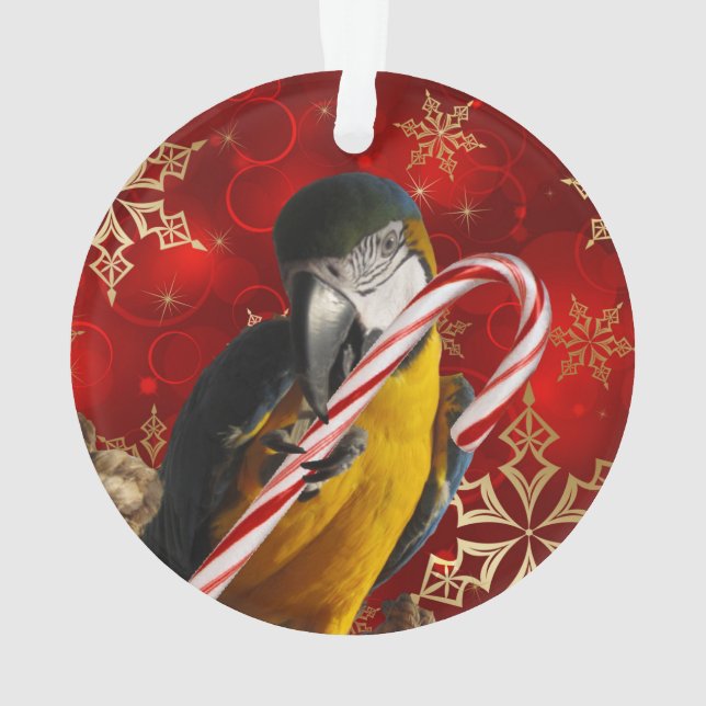 Custom Parrot Photo Ornament Front and Back (Back)