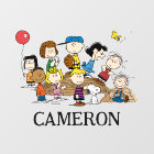 Custom Peanuts | The Gang at the Pitcher's Mound
