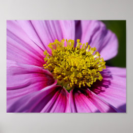 custom personalise Anniversaries Destiny'S Destiny Poster