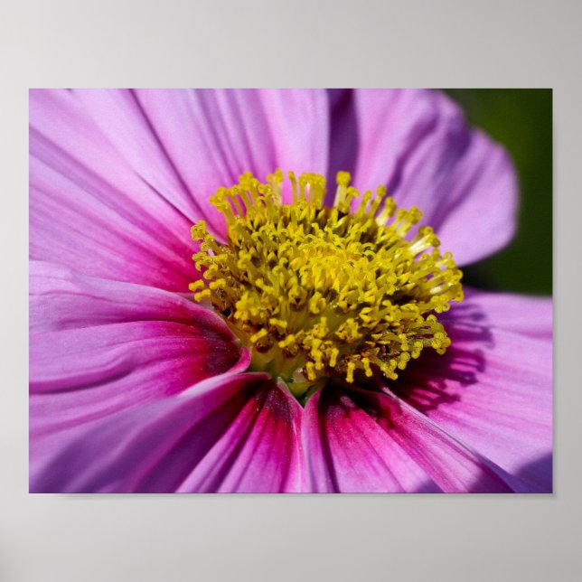 custom personalise Anniversaries Destiny'S Destiny Poster (Front)