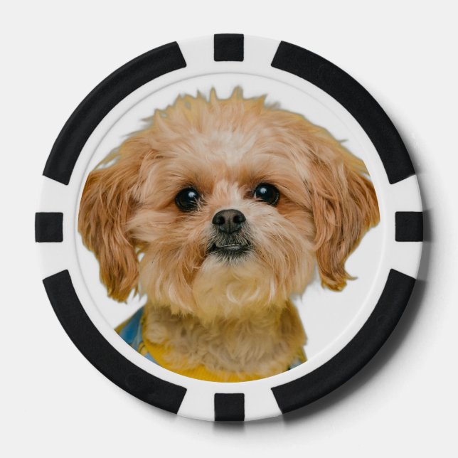 Custom Personalised Casino Photo Poker Chips (Front)