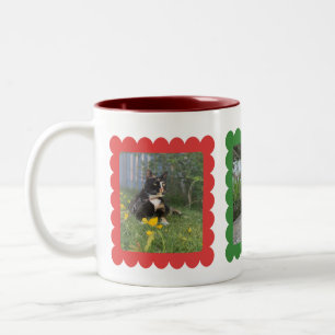 Custom Personalised Cat Photo 3 Photos Collage  Two-Tone Coffee Mug