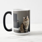 Custom Personalised Cat Photo Collage Tall Coffee