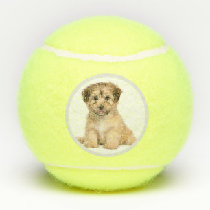 Custom Personalised Dog Photo Tennis Balls