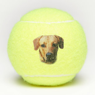 Custom Personalised Dog Tennis Balls