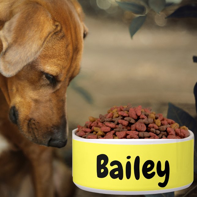 Custom Personalised Name Photo Art Colour Pet Larg (Custom Personalized Name Photo Art Color Pet Large Bowl)