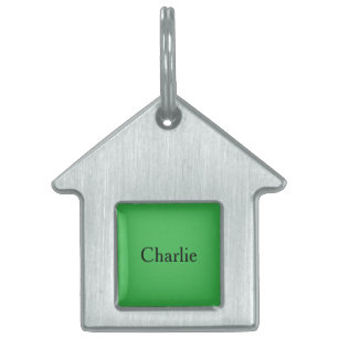 Custom Personalised Name Photo Art Kelly Green Pet ID Tag
