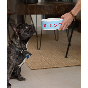 Custom Personalised Pet Dog Cat Name Food Bowl