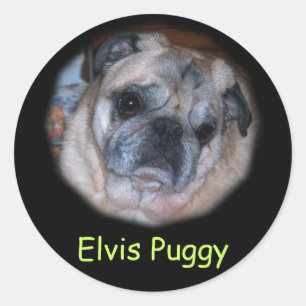 Custom Personalised Photo Stickers