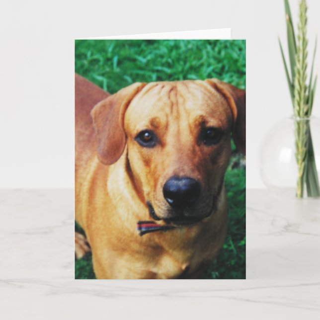 Custom Personalized Photo Blank Greeting Card (Front)