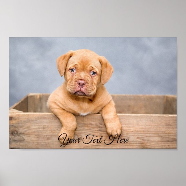 Custom Personalized Wide Poster Photo Print (Front)