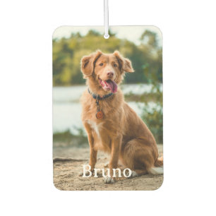 Custom Pet 2 Photo Name Dog Lovers Car Air Freshener