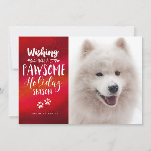 Custom Pet 2 Photo   Pawsome Typography Holiday