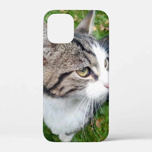 Custom pet animal image or family photo Case-Mate iPhone case (Back)