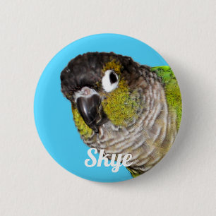 Custom Pet Bird Photo Name 6 Cm Round Badge