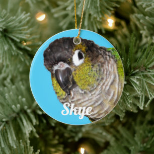 Custom Pet Bird Photo Name Ceramic Tree Decoration