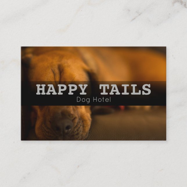 Custom Pet Boarding Hotel Sitting Services Business Card (Front)