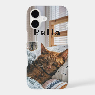Custom Pet Cat