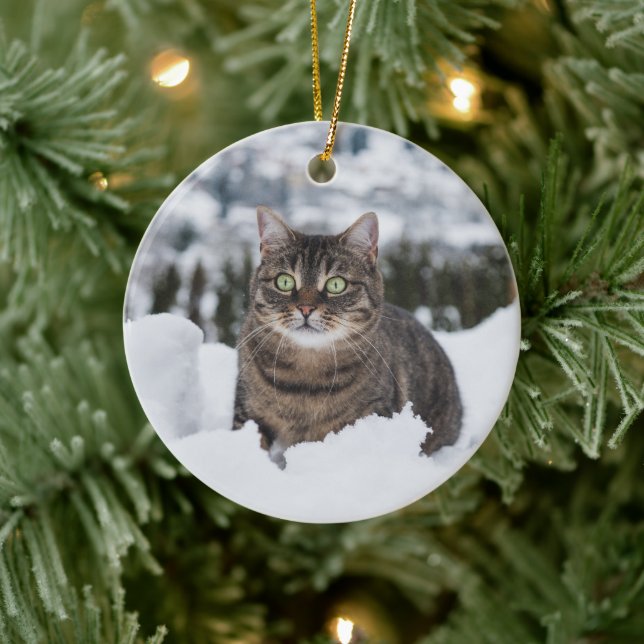 Custom Pet Cat 2 Photo Christmas Ceramic Tree Decoration (Tree)