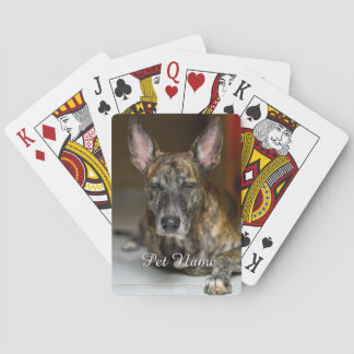 Custom Pet Cat Dog Photo  Playing Cards
