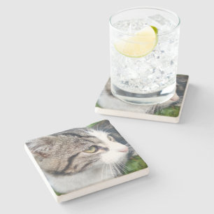 Custom pet cat photo limestone coaster for drinks