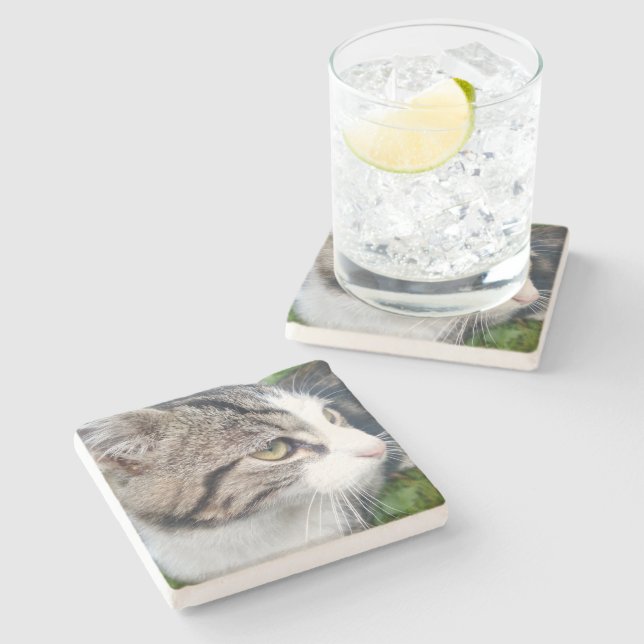 Custom pet cat photo limestone coaster for drinks (Side)