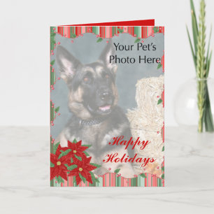 Custom Pet Christmas cards