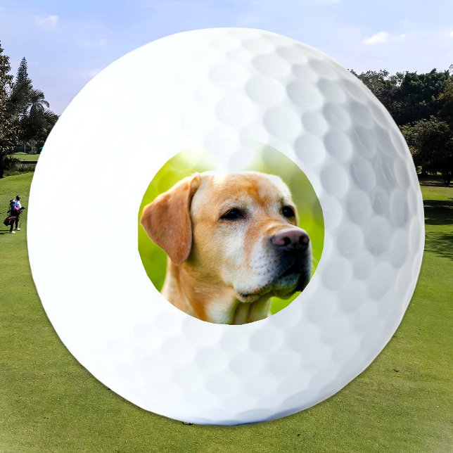 Custom Pet Dog Cat Photo Personalised Golf Balls (Creator Uploaded)