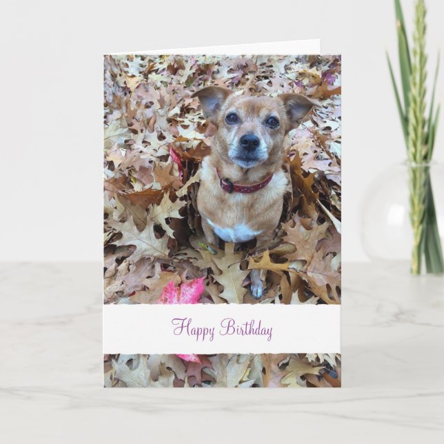 Custom pet (dog) photo and message card (Front)
