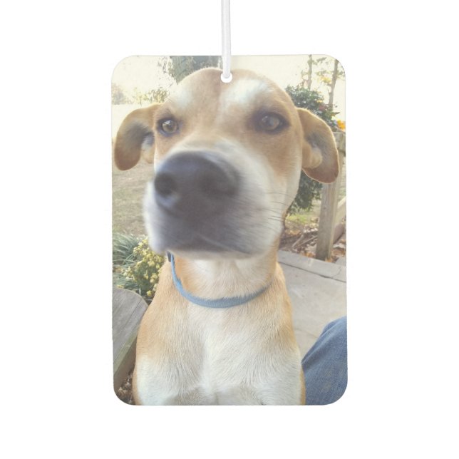Custom Pet Dog Photo Car Air Freshener (Front)