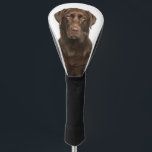 Custom Pet Dog Photo Chocolate Labrador Golf Head Cover<br><div class="desc">Custom Pet Dog Photo Chocolate Labrador Golf Head Cover. Replace the template vertical photos with memorable photos of your pet dog or pet.</div>