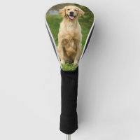 Custom Pet Dog Photo Golden Retriever