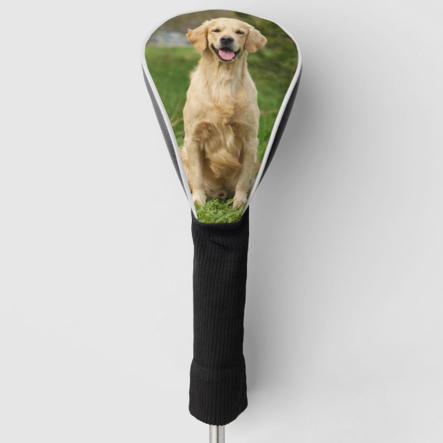 Custom Pet Dog Photo Golden Retriever Golf Head Cover (Front)