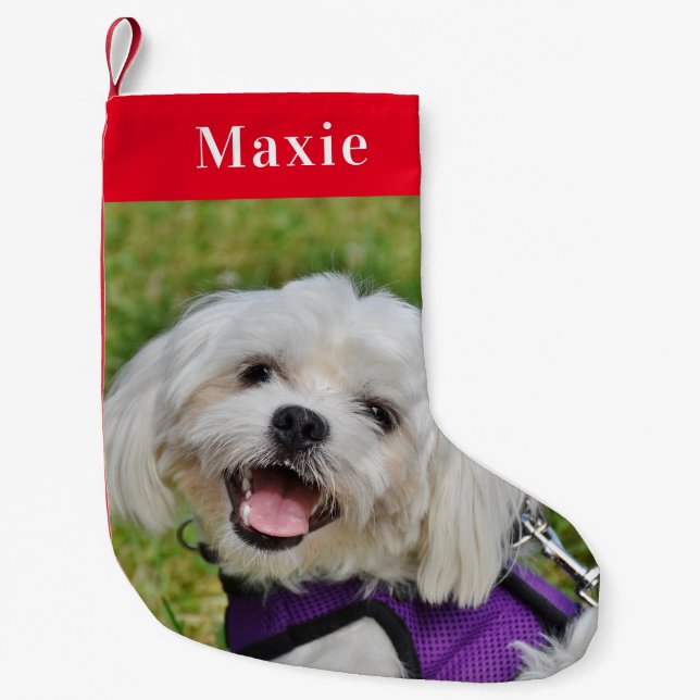 Custom Pet Dog Photo Holiday Red Personalised Small Christmas Stocking (Front)