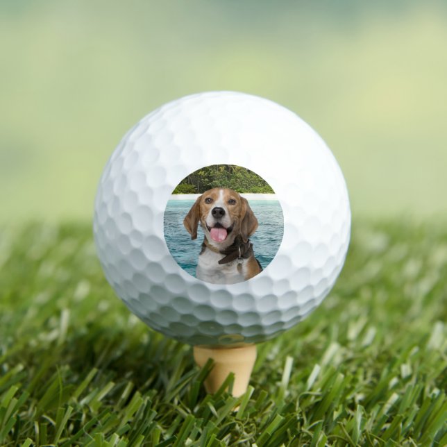 Custom Pet Dog Photo Modern Personalized Golf Ball (Insitu Tee)