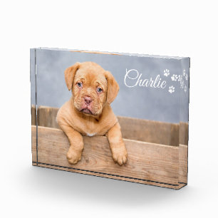 Custom pet dog photo personalise text block