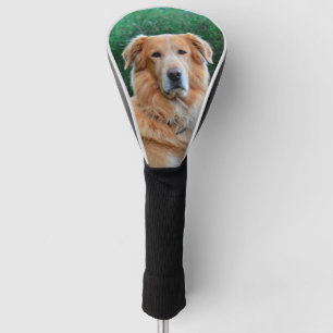 Custom Pet Dog Photo Personalised   Golf Head Cover