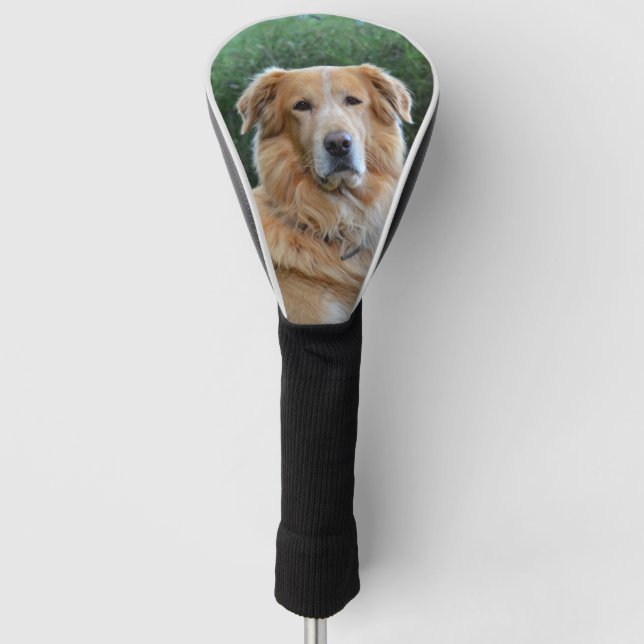Custom Pet Dog Photo Personalised   Golf Head Cover (Front)