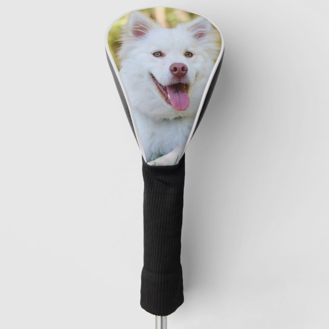 Custom Pet Dog Photo Personalised Golf Head Cover (Front)