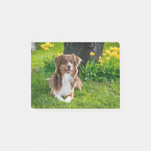 Custom Pet Dog Photo Personalised Post-it Notes