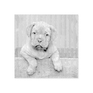 Custom Pet Dog Photo Rubber Personalized Stamp