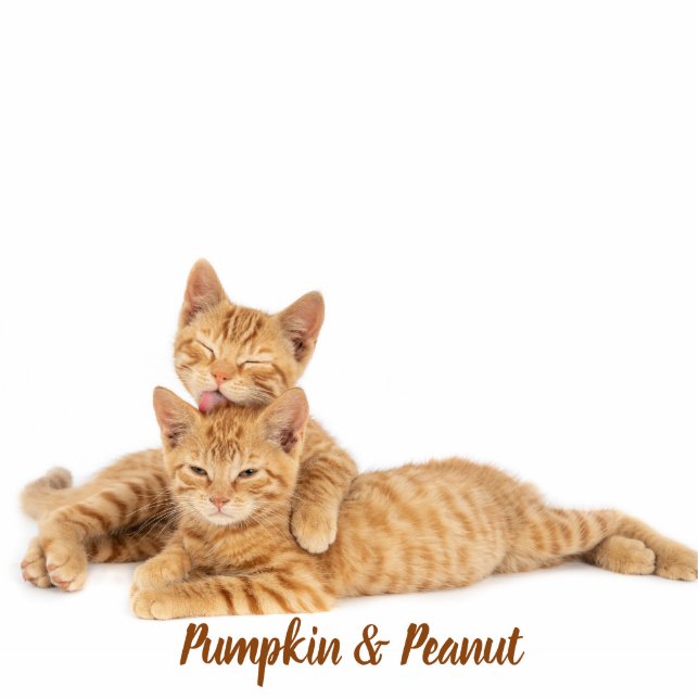 Custom Pet Keepsake Using Your Photo Name Standing Photo Sculpture (Front)