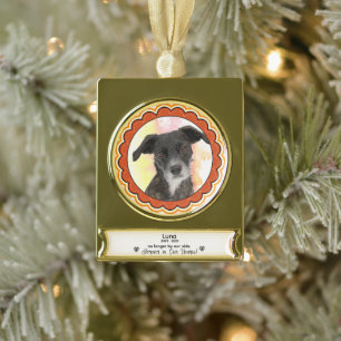 Custom Pet Memorial Ornament - Sympathy Gift