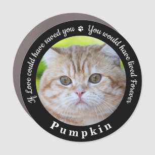 Custom Pet Memorial Pet Loss Keepsake Cat Photo Car Magnet