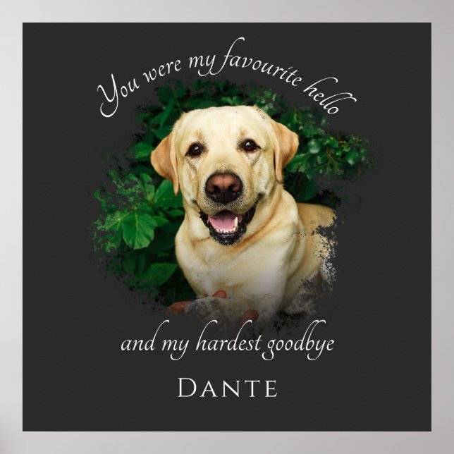 Custom Pet Memorial Photography Poster (Front)