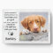 Custom Pet Memorial - Remembrance Dog Photo