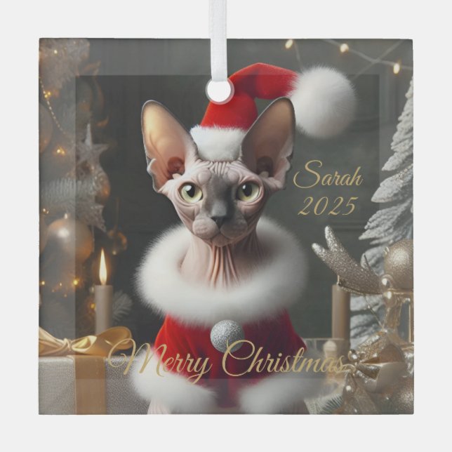 Custom Pet Name Photo Sphynx Cat Christmas 2025 Glass Tree Decoration (Front)