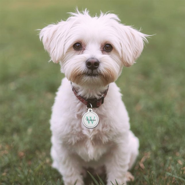 Custom Pet Name Teal Monogram White Tag (Creator Uploaded)
