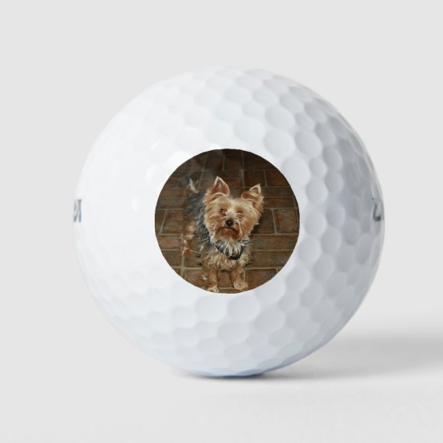 Custom Pet or Family Photo Golf Balls (Front)