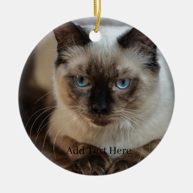 Custom Pet Photo and Name Ceramic Tree Decoration (Front)